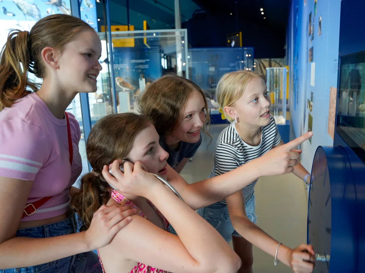Kinder lauschen und tippen an einer interaktiven Station zur Vogelwelt im nbz Alfsee