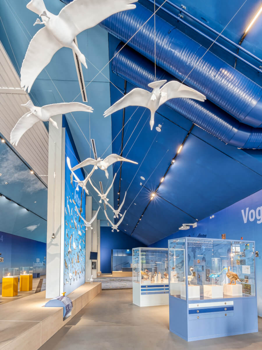 Interaktive Tafel mit 100 Vogelarten im nbz Alfsee