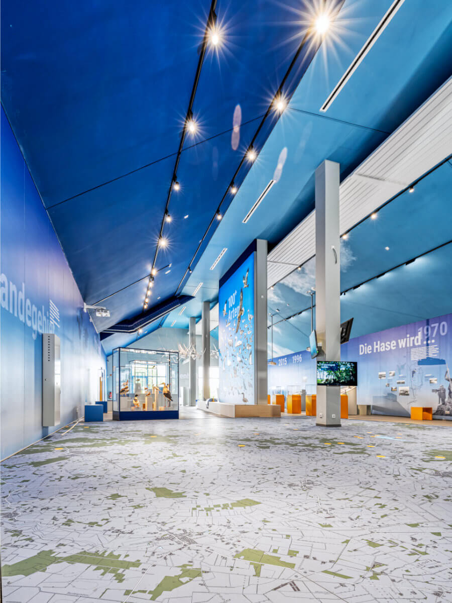 Bodenkarte des Landegebiets Alfsee mit eingezeichneten Vogelarten und Landschaftszonen