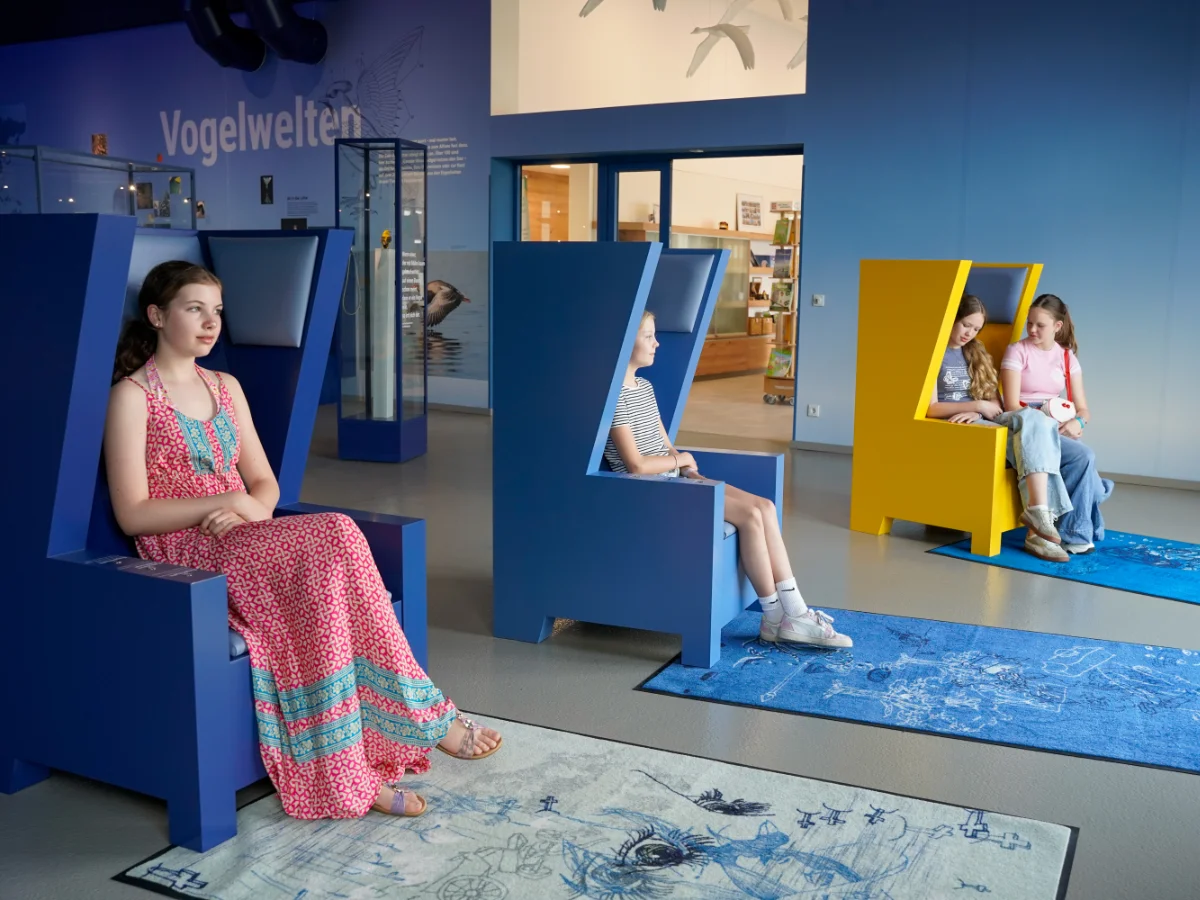 Vier Mädchen sitzen in farbigen Erzählinseln und lauschen einer magisch-mystischen Sage im Natur- und Bildungszentrum Alfsee