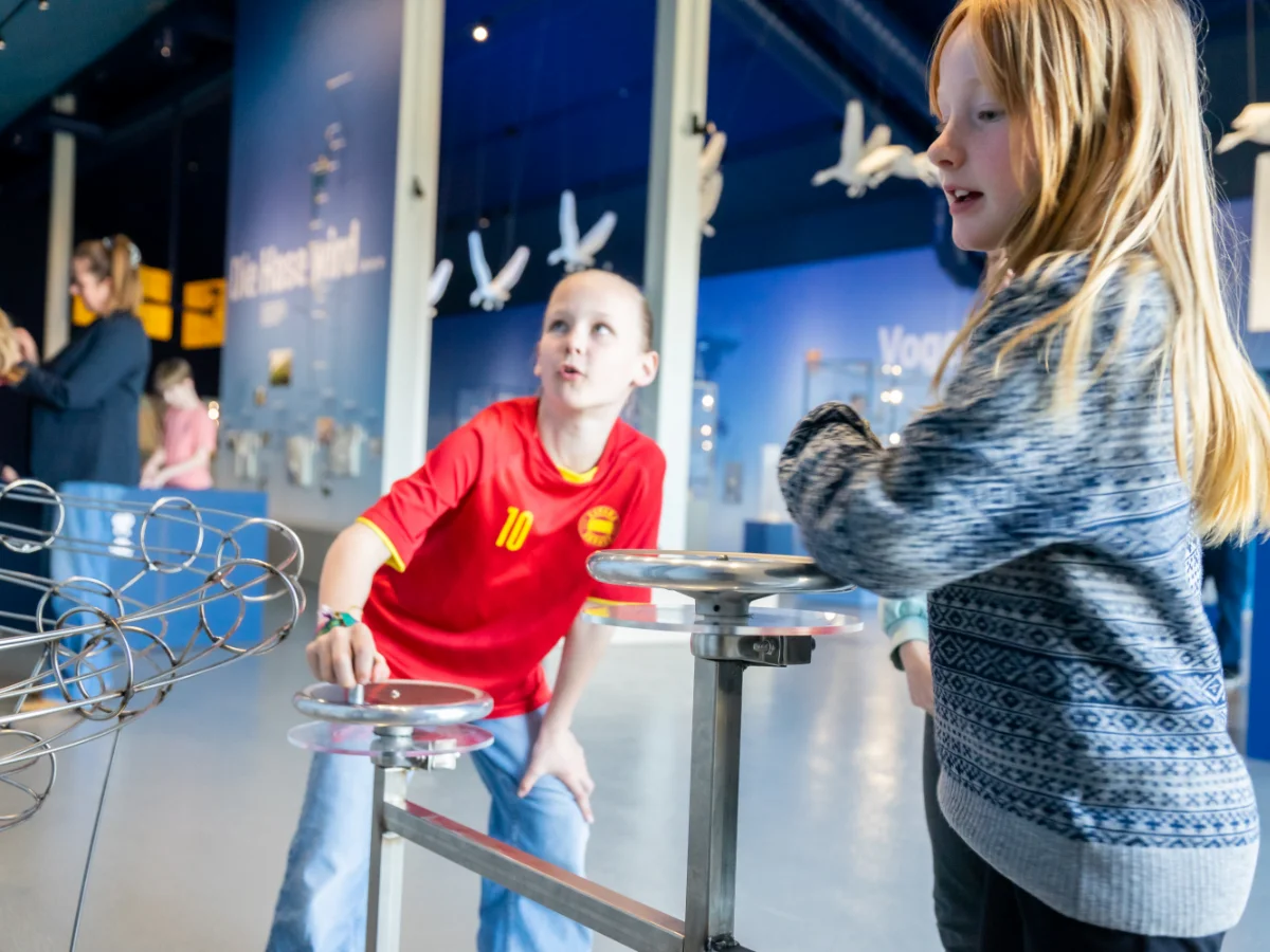 Kinder an der Mitmachstation „Wasser neu denken“ im nbz Alfsee, an der spielerisch der Wasserkreislauf und Hochwasserschutz erlebt werden
